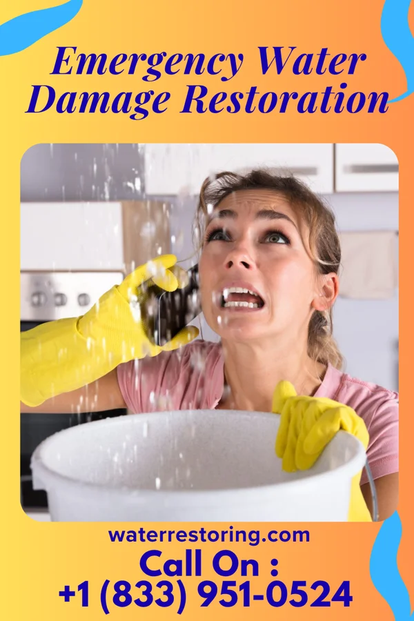 Emergency Water Damage Restoration in Silver Creek, NY