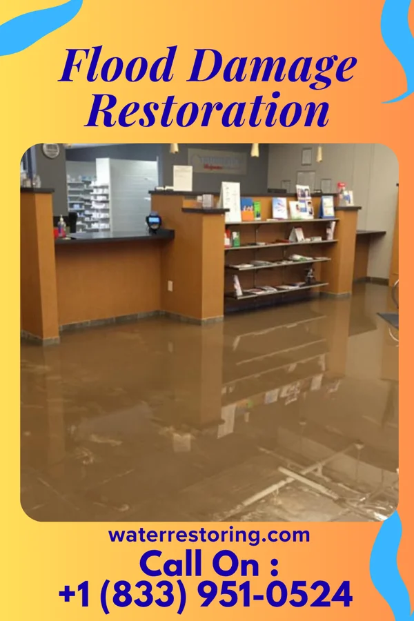Flood Damage Restoration in Silver Creek, NY