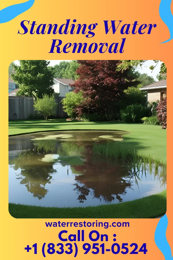 Standing Water Removal in Silver Creek, NY